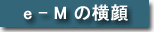 e-M�̉���